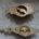 Antique Back-plates with Twist Handles