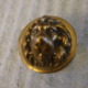 Antique Lion Head Center Door Pull